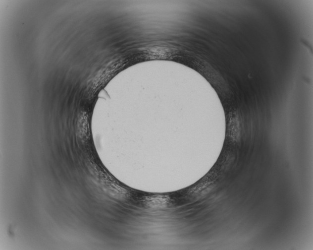 X0000103940318200810311531