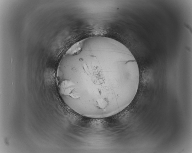 X0000103940321200810311531