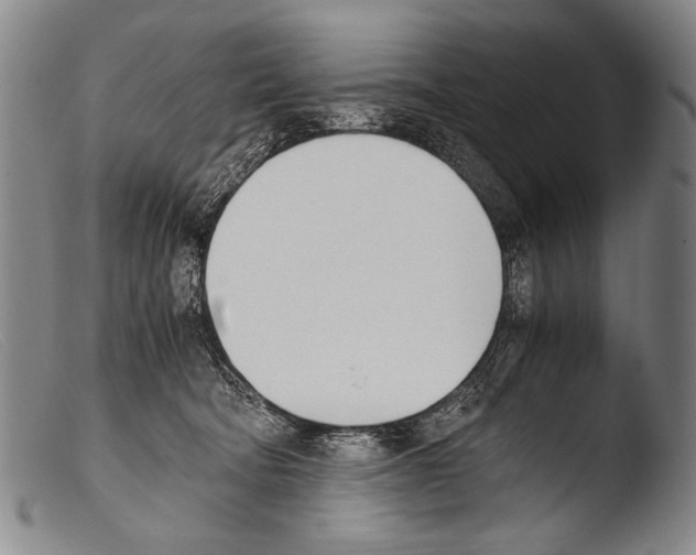 X0000103940322200810311531