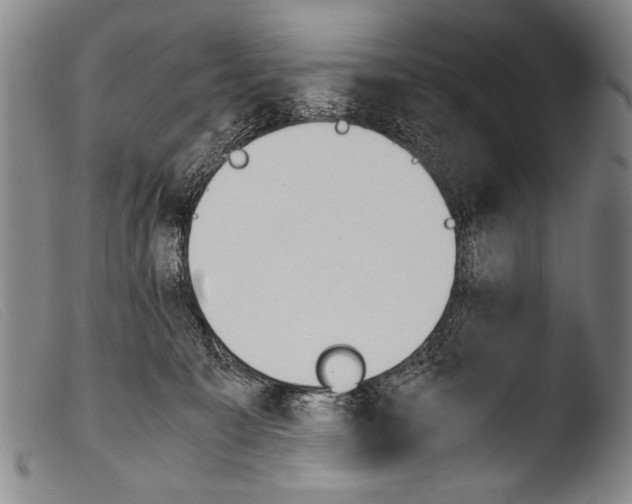 X0000103940323200810311531