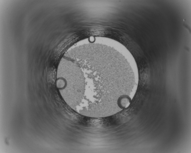 X0000103940325200810311531