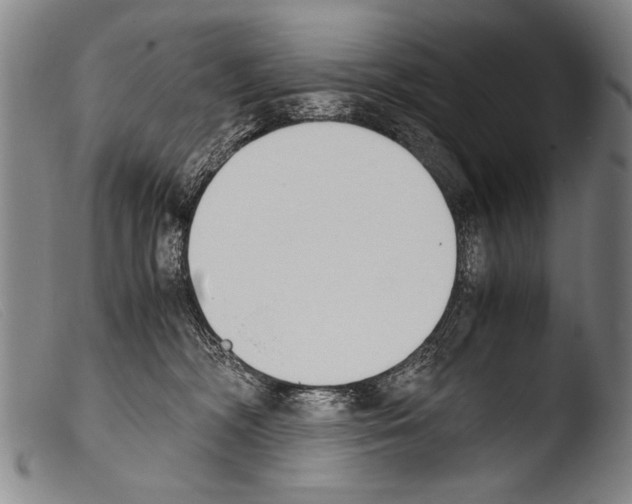 X0000103940326200810311531