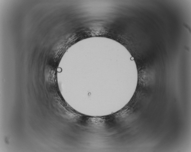 X0000103940327200810311531