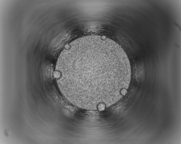 X0000103940328200810311531