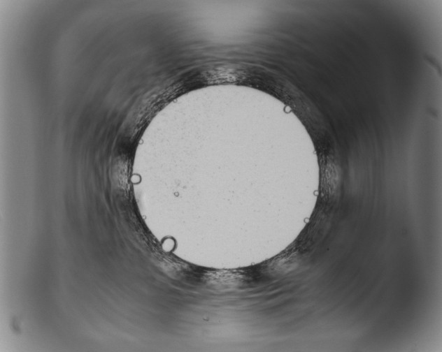 X0000103940331200810311531