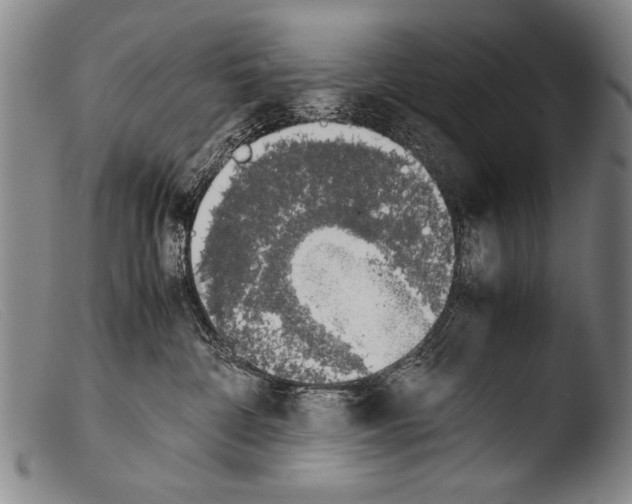 X0000103940332200810311531