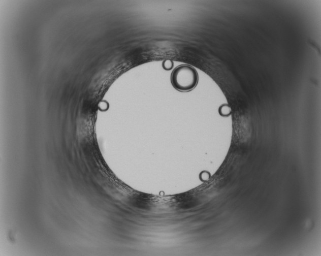 X0000103940333200810311531