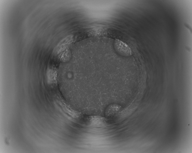 X0000103940336200810311531