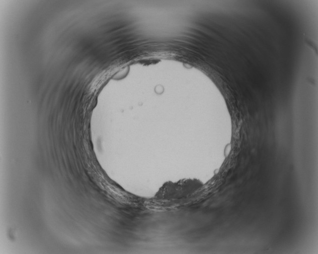 X0000103940337200810311530