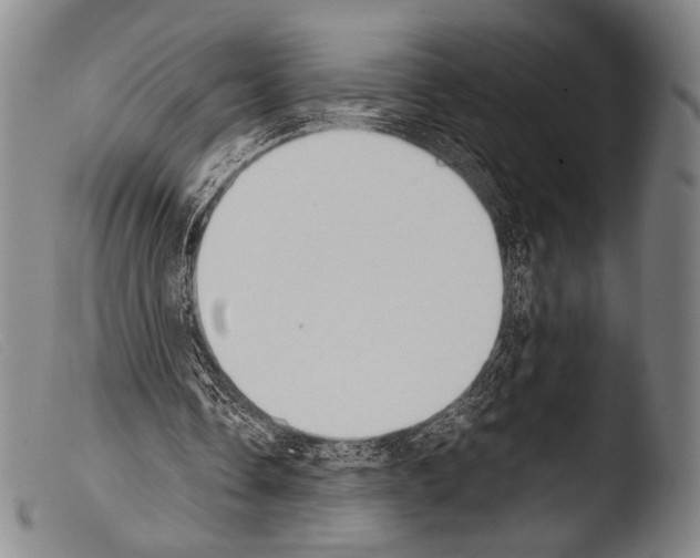 X0000103940338200810311530