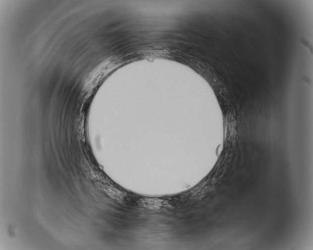 X0000103940339200810311530