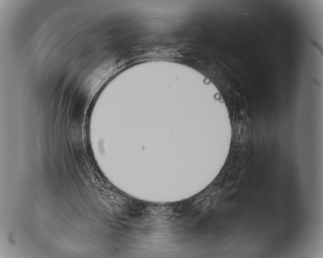 X0000103940340200810311530