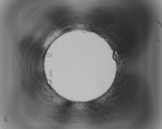 X0000103940341200810311530