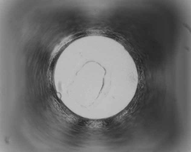 X0000103940343200810311530