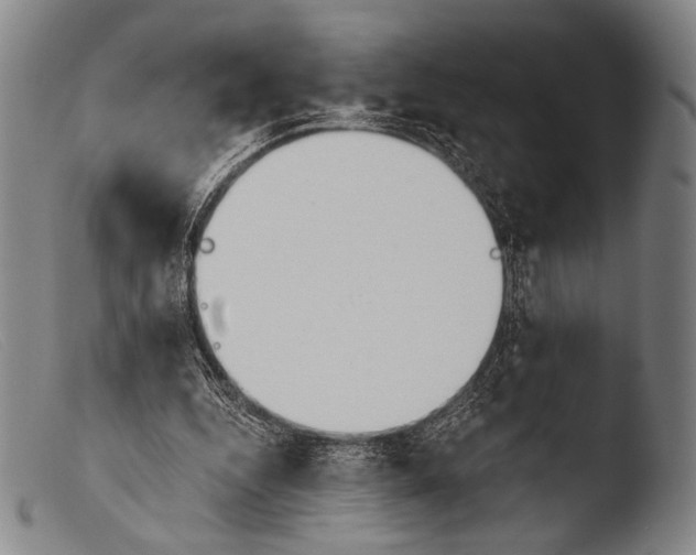 X0000103940344200810311530