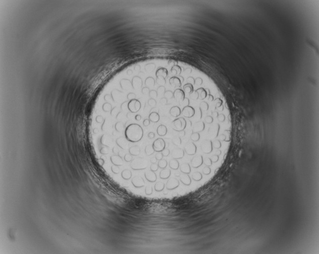 X0000103940346200810311530