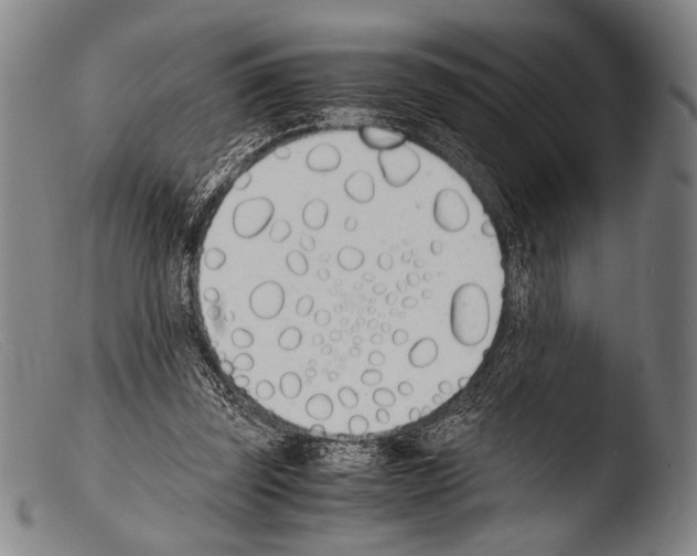 X0000103940347200810311530