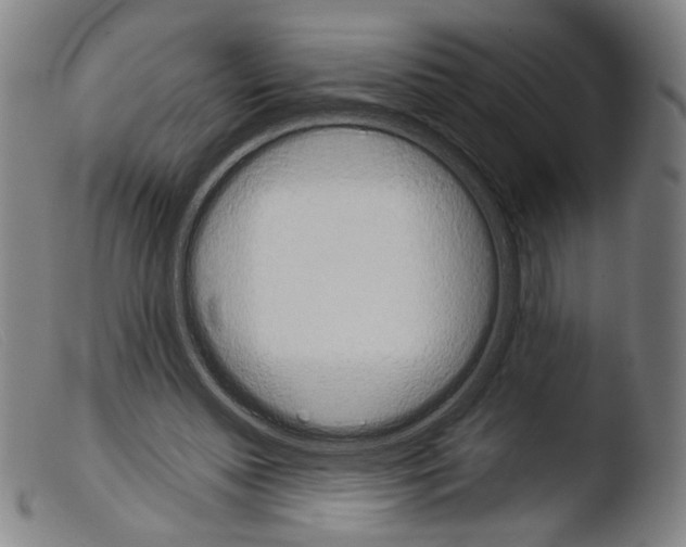 X0000103940348200810311530