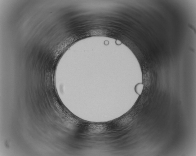 X0000103940349200810311530