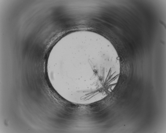 X0000103940350200810311530