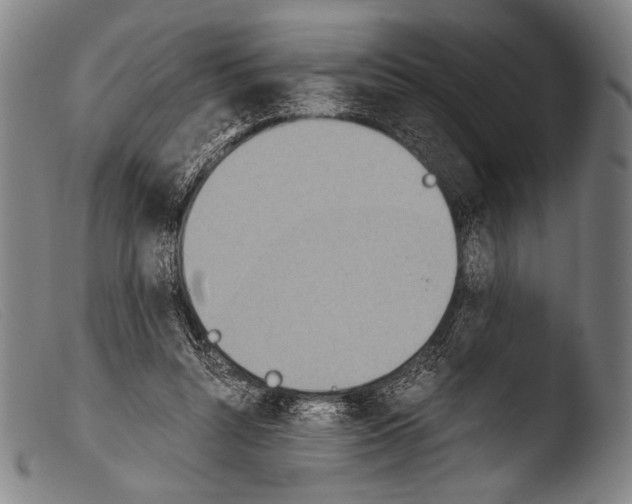 X0000103940352200810311530