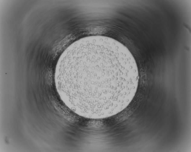 X0000103940354200810311530