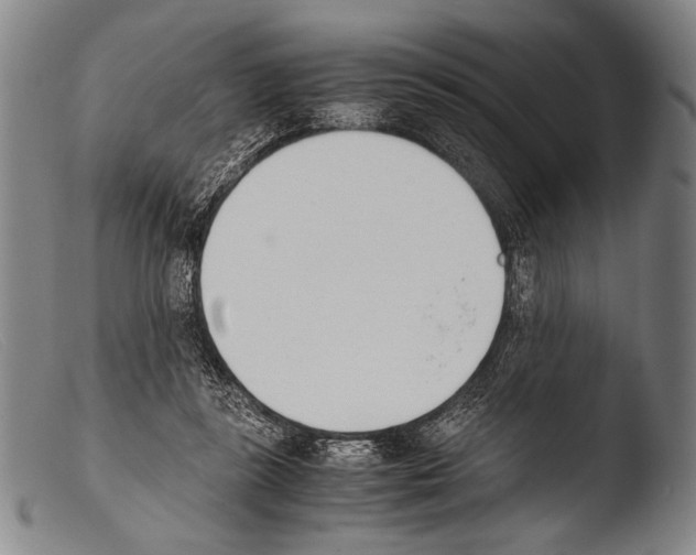 X0000103940355200810311530