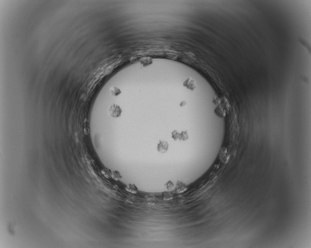 X0000103940356200810311531