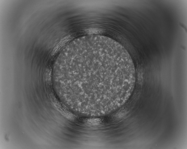 X0000103940357200810311531