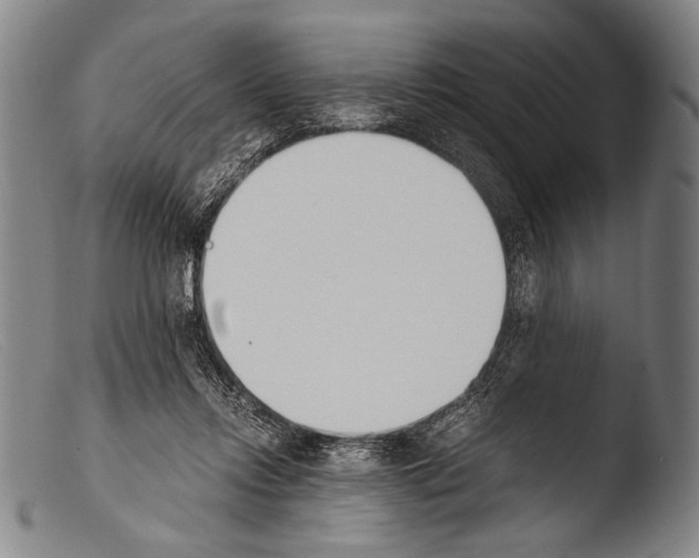 X0000103940358200810311531