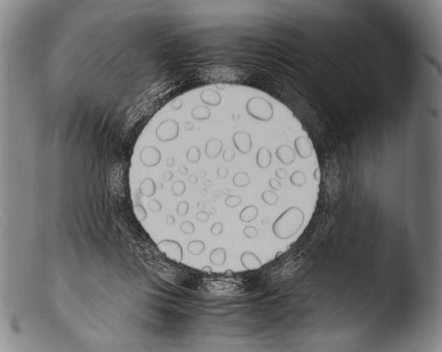 X0000103940359200810311531