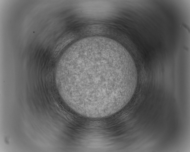 X0000103940360200810311531