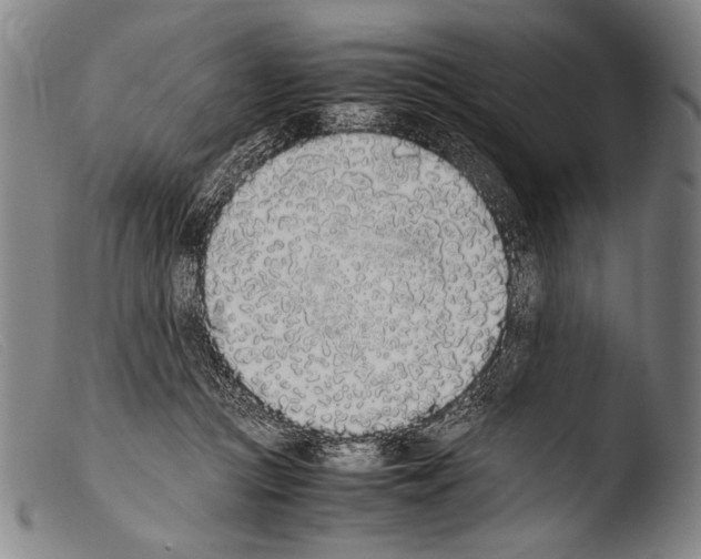 X0000103940361200810311531