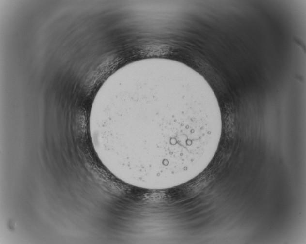 X0000103940362200810311531