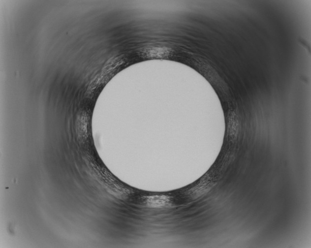 X0000103940363200810311531