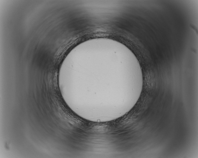 X0000103940364200810311531