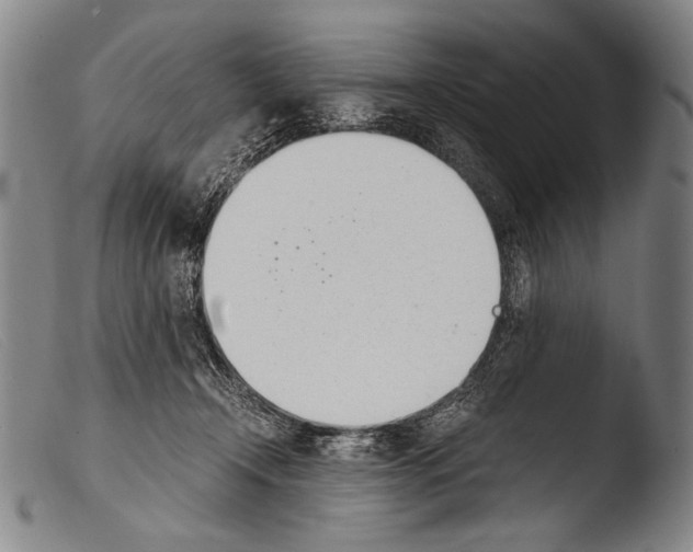 X0000103940366200810311531