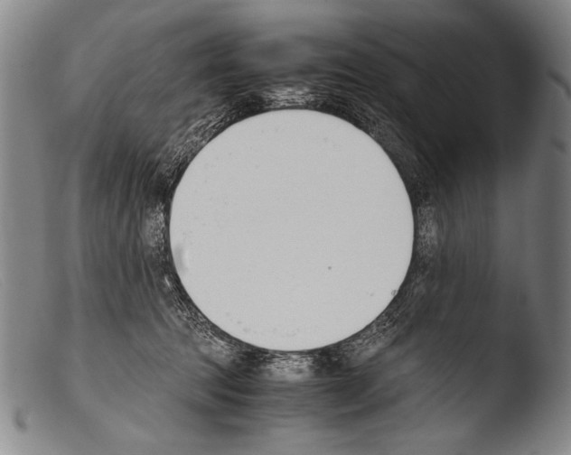 X0000103940369200810311531