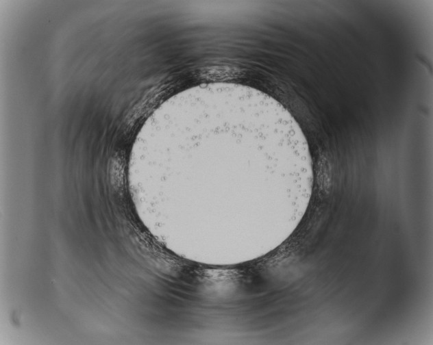 X0000103940371200810311531