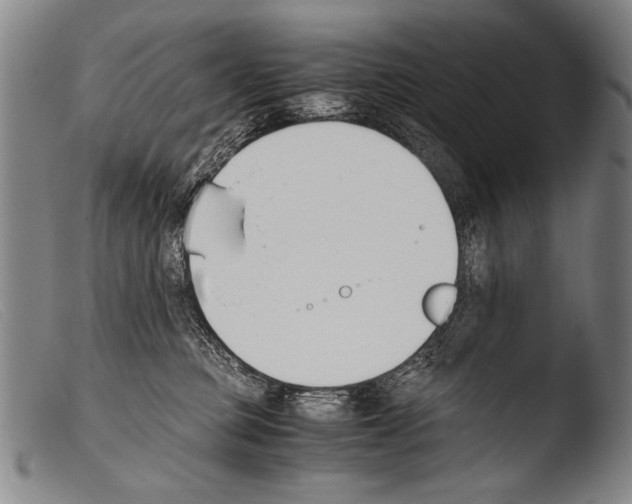 X0000103940373200810311531