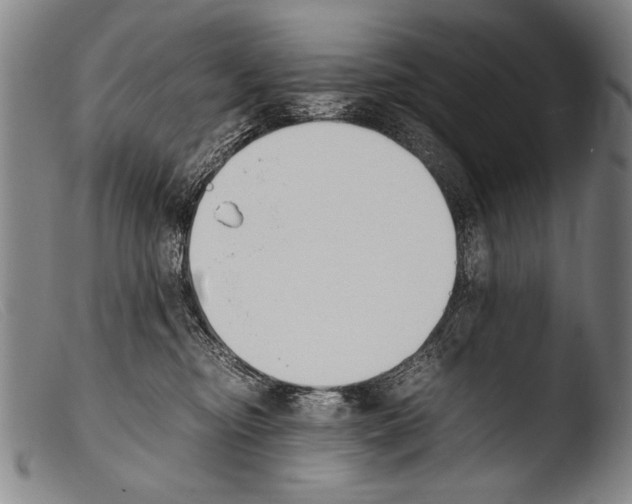 X0000103940374200810311531