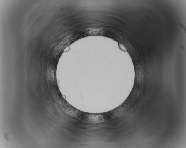 X0000103940375200810311531