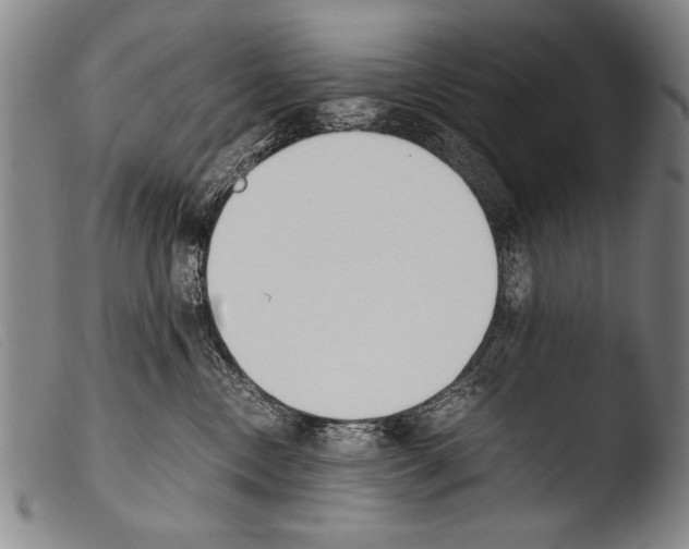 X0000103940378200810311531