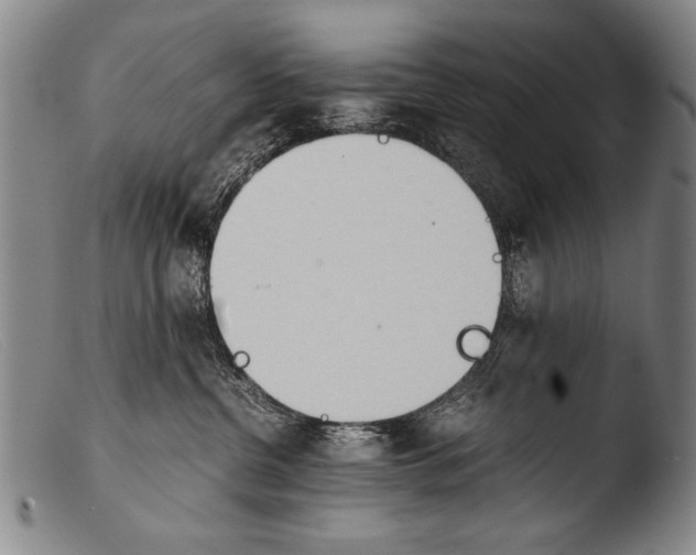 X0000103940380200810311531