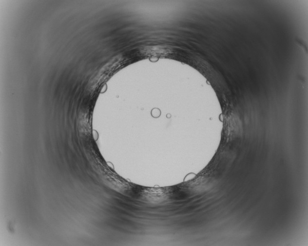 X0000103940381200810311531