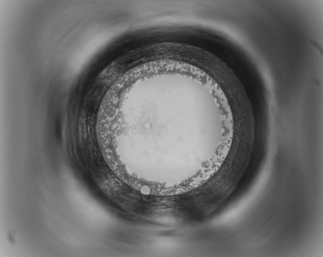 X0000103940382200810311531