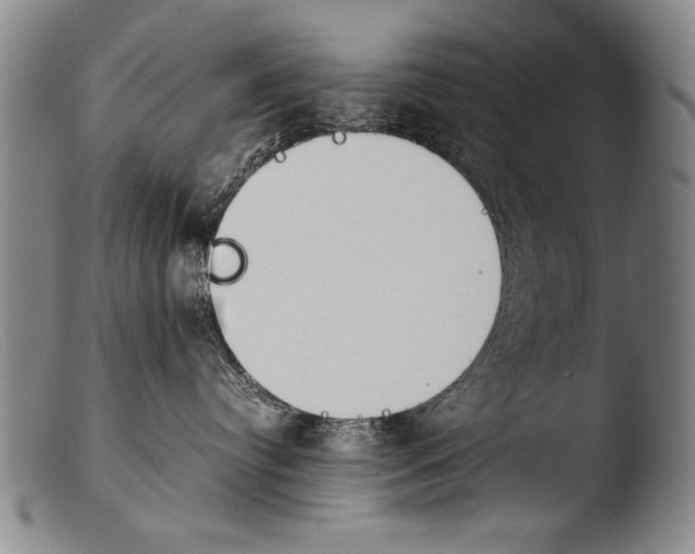 X0000103940384200810311531