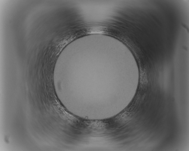 X0000103940385200810311530