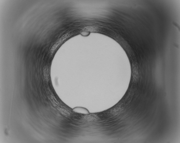 X0000103940386200810311530