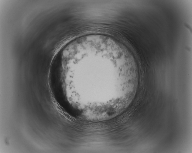 X0000103940387200810311530